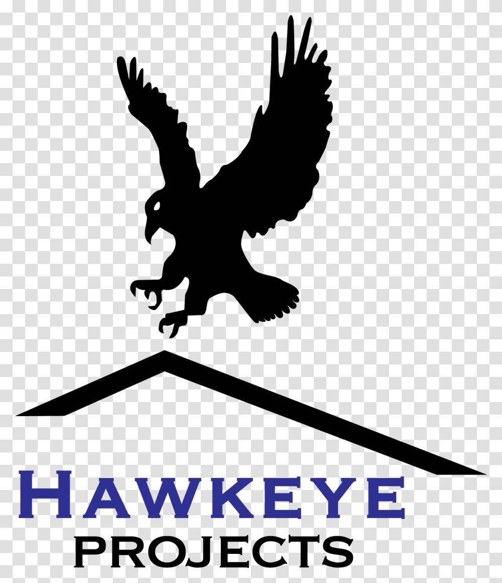 Hawkeye Logo Colour Hr Hawk, Nature, Outdoors, Astronomy, Outer Space Transparent Png