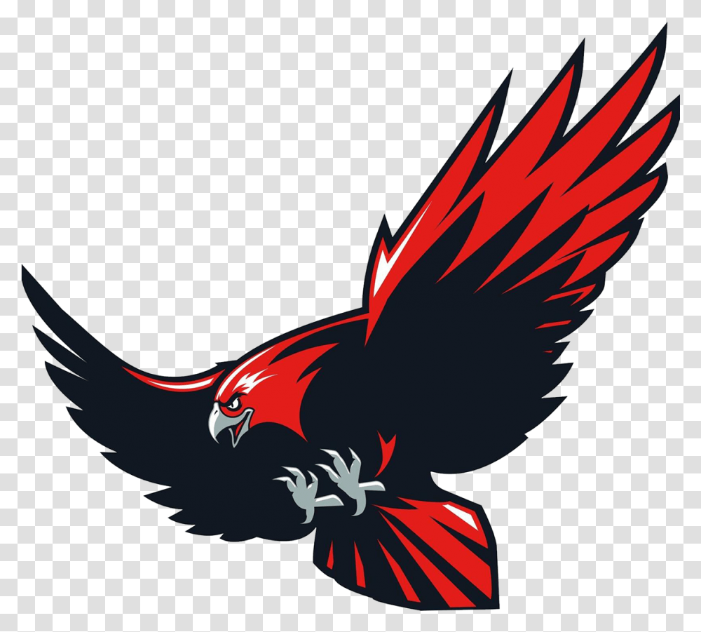 Hawks Men's Basketball Howard College Hawks Logo, Animal, Bird, Parrot, Flying Transparent Png