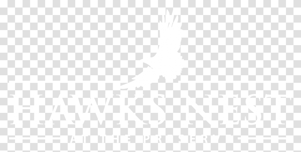 Hawks Nest Logo, White, Texture, White Board Transparent Png