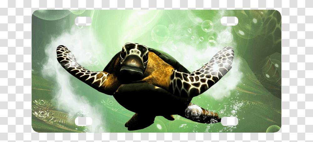 Hawksbill Sea Turtle Download Sea Turtle, Reptile, Sea Life, Animal, Tortoise Transparent Png