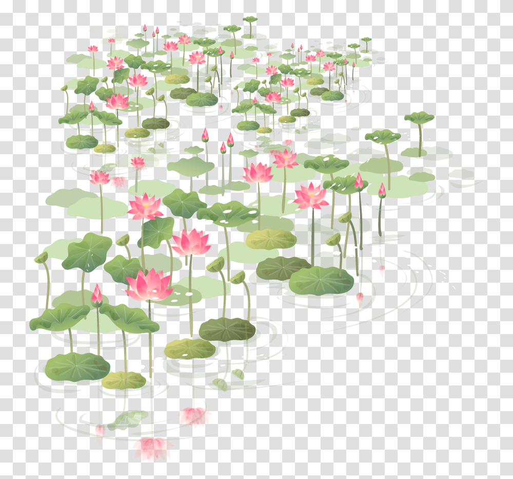 Hawthorn Euclidean Vector China Flower Wind Clipart Shapla Flower, Plant, Blossom, Lily, Pond Lily Transparent Png