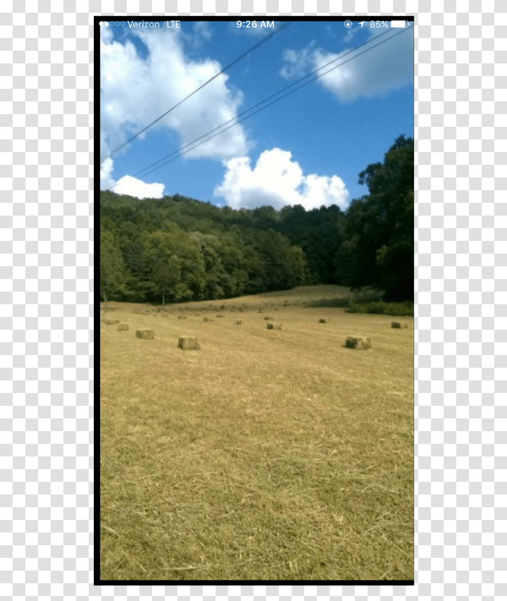 Hay Bail, Field, Nature, Outdoors, Grassland Transparent Png