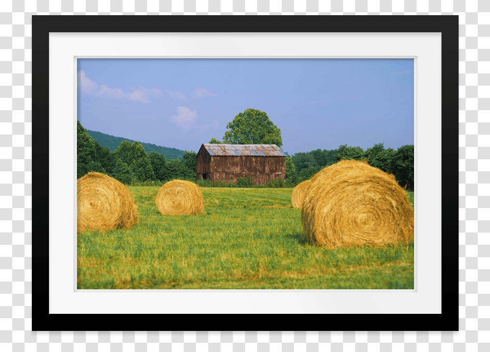 Hay Bail, Nature, Outdoors, Countryside, Sheep Transparent Png