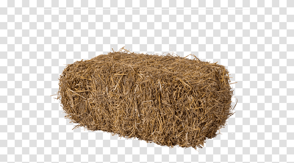 Hay Bale, Nature, Outdoors, Countryside, Straw Transparent Png