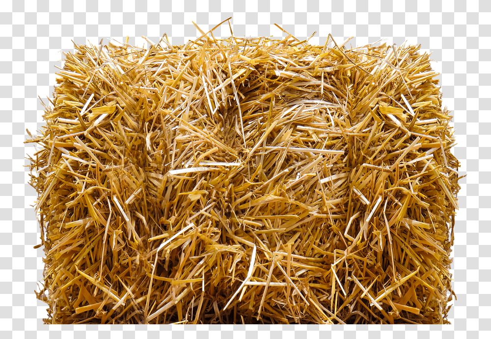 Hay Bale, Outdoors, Nature, Countryside, Straw Transparent Png