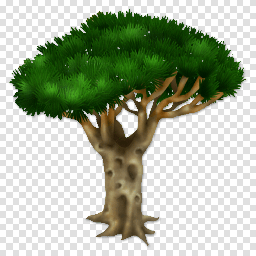 Hay Bead, Plant, Tree, Fungus, Moss Transparent Png