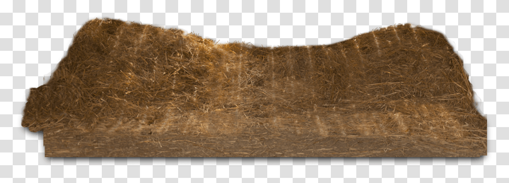 Hay, Bread, Plant, Grass Transparent Png