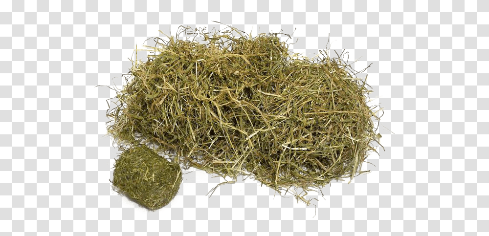 Hay Hay, Plant, Food, Seasoning, Moss Transparent Png