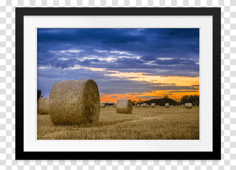 Hay, Nature, Outdoors, Countryside, Straw Transparent Png
