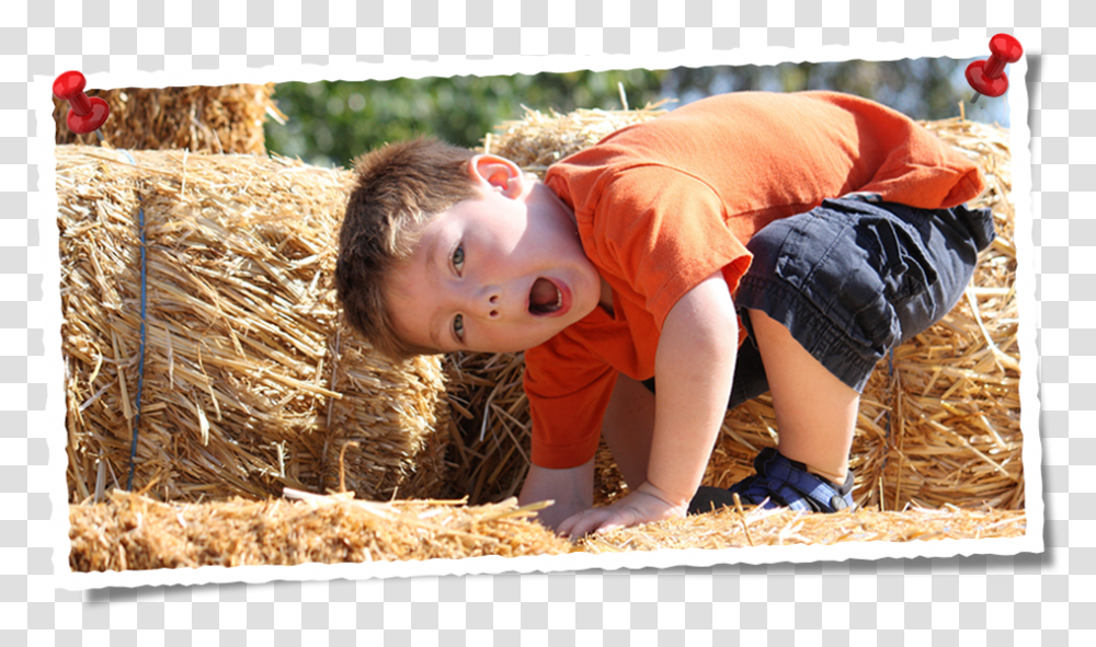 Hay, Nature, Outdoors, Person, Human Transparent Png
