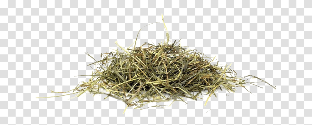 Hay Picture Grass Hay, Plant, Nature, Outdoors, Countryside Transparent Png