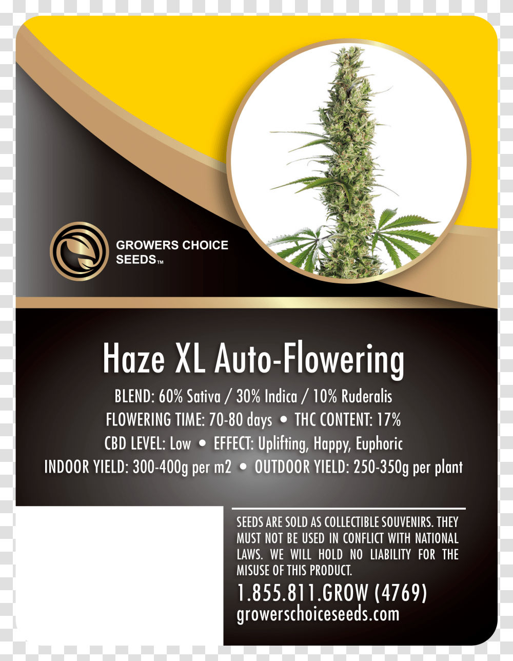 Haze Xl Auto Flowering Feminized Cannabis Seeds Growers Choice Gorilla Glue, Flyer, Poster, Paper, Advertisement Transparent Png