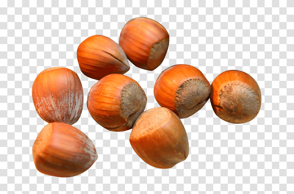 Hazelnut Clipart, Plant, Vegetable, Food, Produce Transparent Png