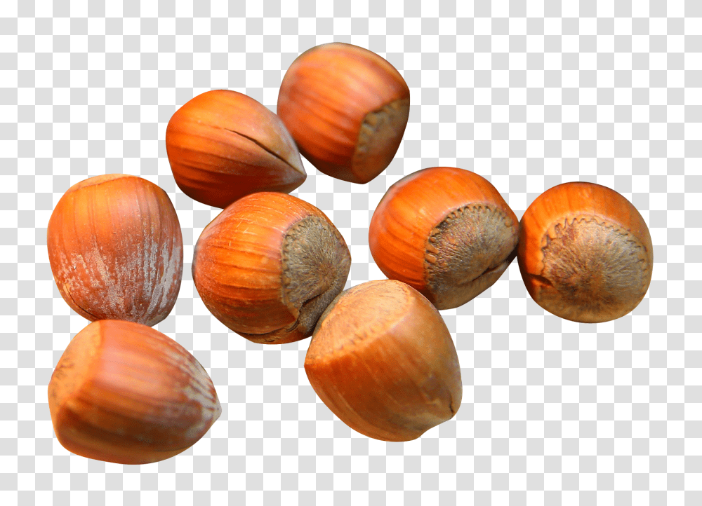 Hazelnut, Fruit, Plant, Vegetable, Food Transparent Png