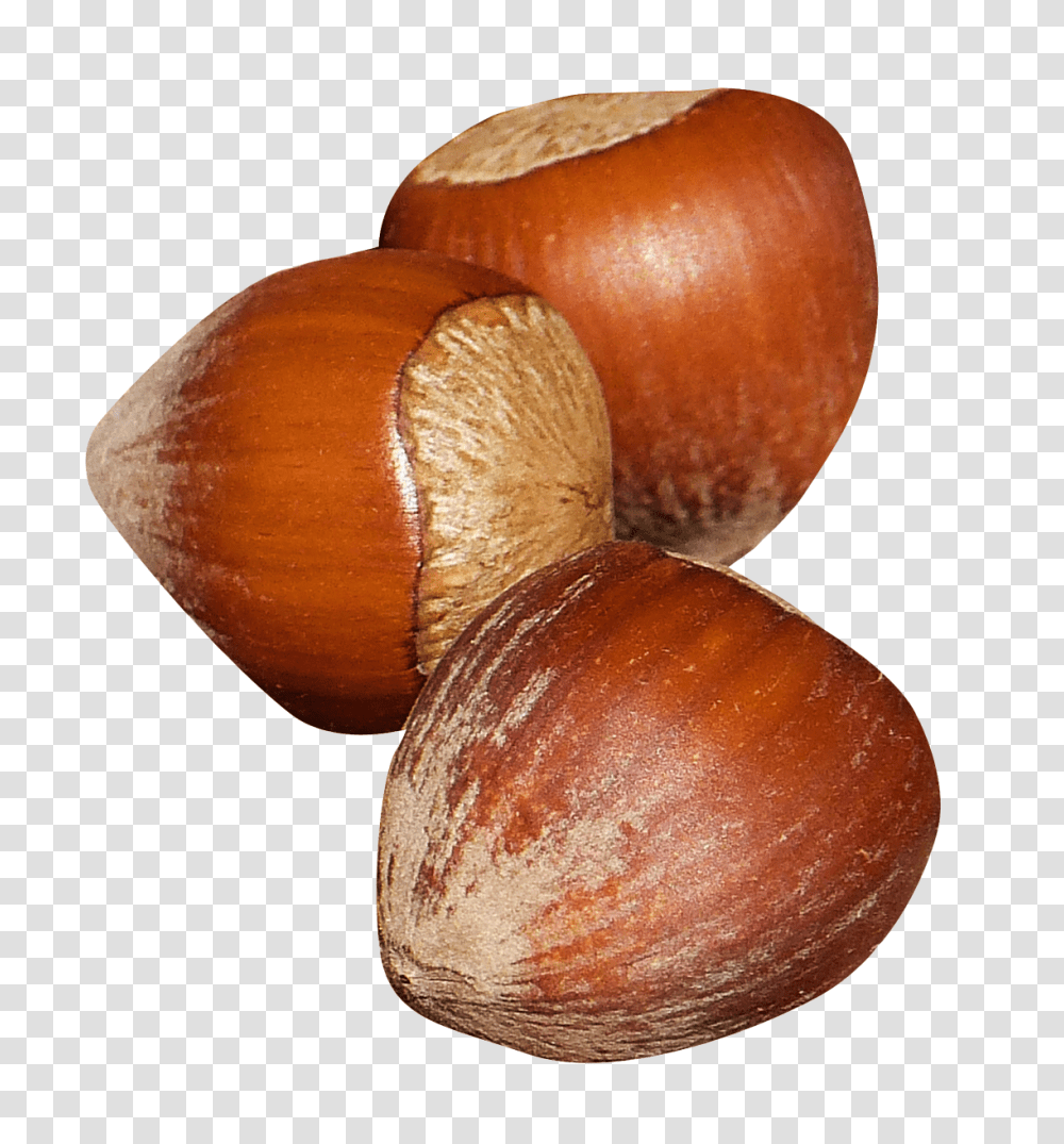 Hazelnut Image, Fruit, Plant, Vegetable, Food Transparent Png