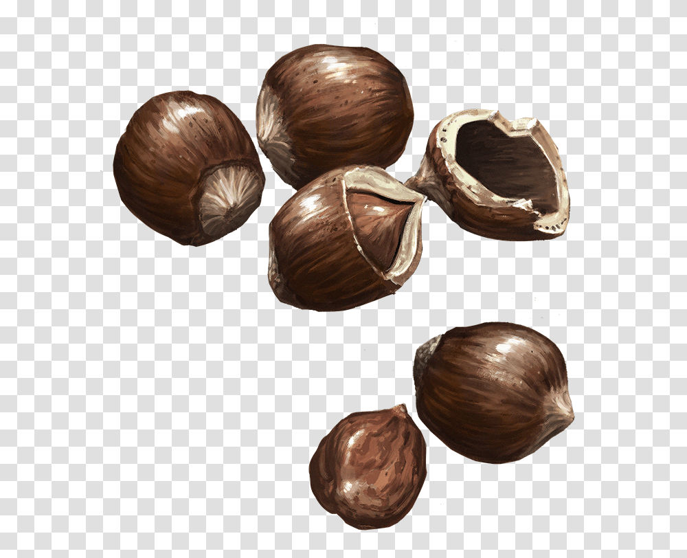 Hazelnuts Chocolate, Plant, Vegetable, Food, Fungus Transparent Png