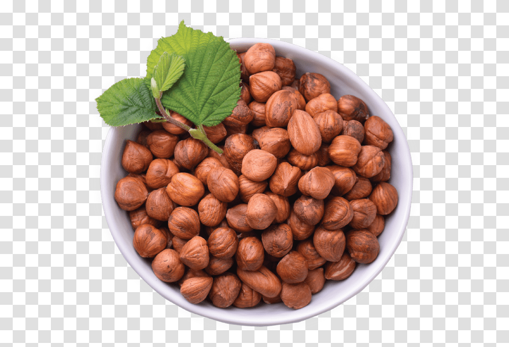 Hazelnuts Improve Older Adults Micronutrient Levels Chocolate, Plant, Vegetable, Food, Walnut Transparent Png