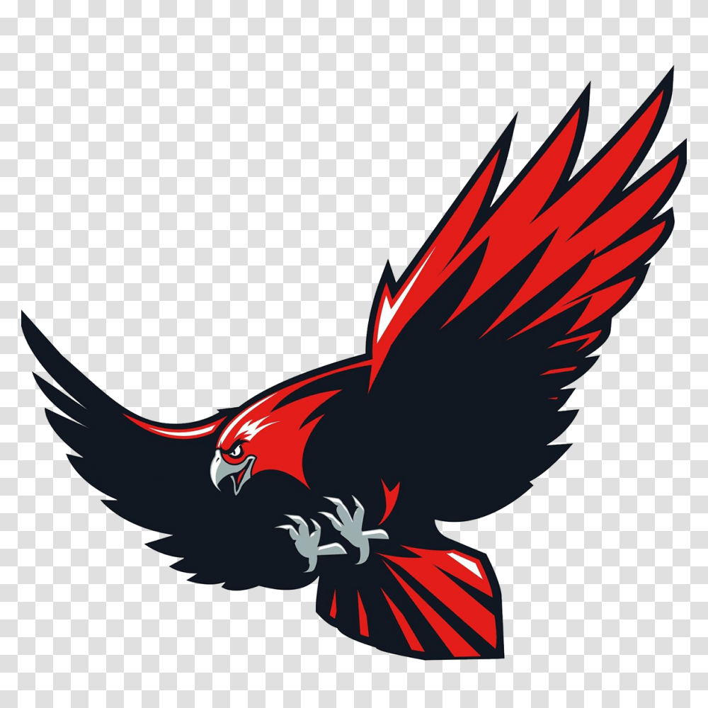 Hc Hawks Softball, Animal, Bird, Flying, Parrot Transparent Png