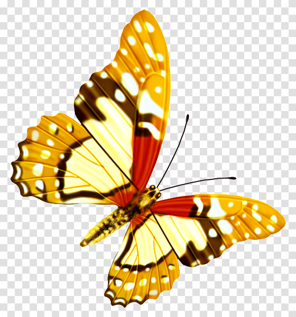 Hd Beautiful Colorful Butterfly Hd Beautiful, Lamp, Insect, Invertebrate, Animal Transparent Png