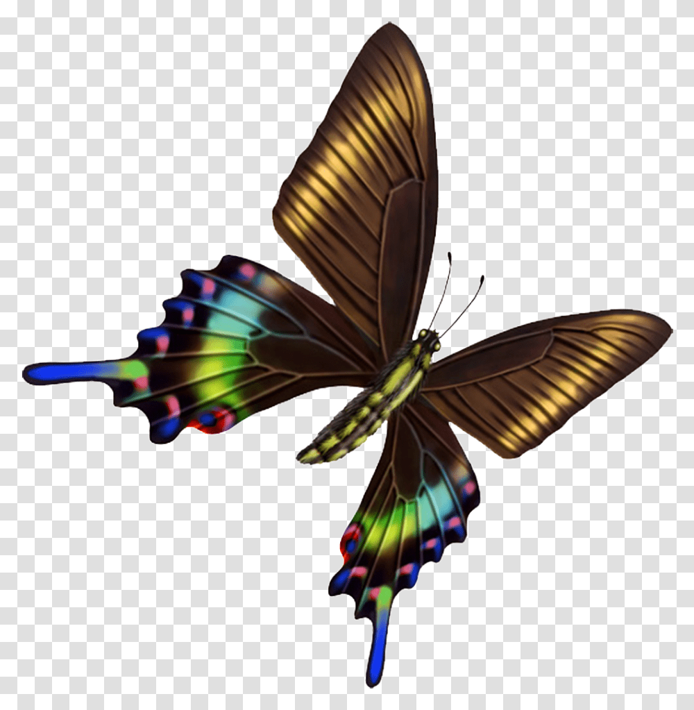 Hd Beautiful Colorful Butterfly, Pattern, Animal Transparent Png