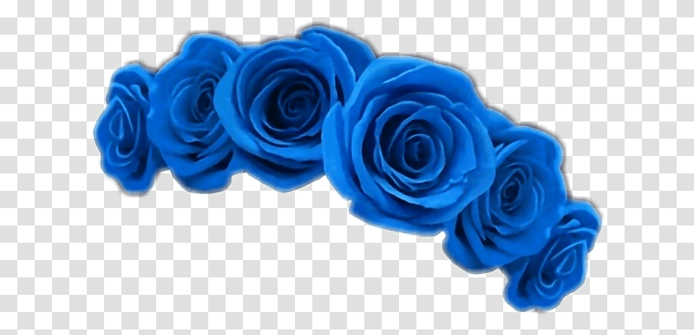 Hd Blue Flower Crown Blue Flower Crown, Rose, Plant, Blossom, Petal Transparent Png