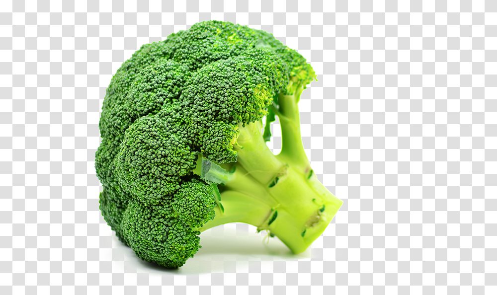 Hd Broccoli Green Broccoli, Plant, Vegetable, Food Transparent Png
