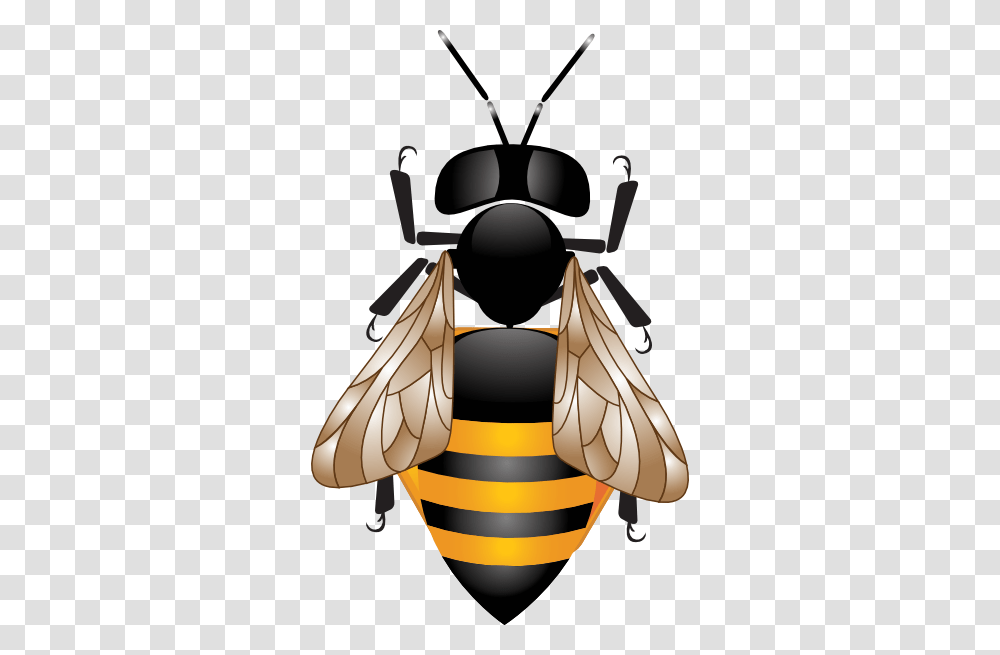 Hd Clipart Desktop Backgrounds, Insect, Invertebrate, Animal, Wasp Transparent Png
