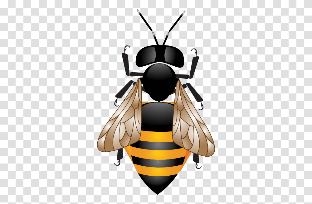 Hd Cliparts, Wasp, Bee, Insect, Invertebrate Transparent Png