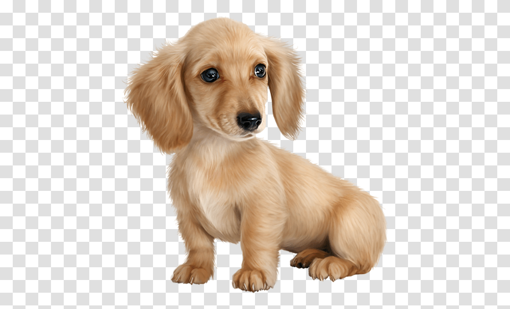 Hd Cute Puppy, Dog, Pet, Canine, Animal Transparent Png
