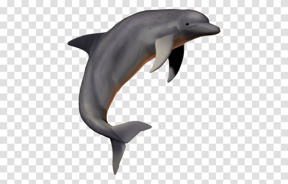 Hd Dolphin Fish Picsartallpng Dolphin Pic With No Background, Mammal, Sea Life, Animal, Person Transparent Png