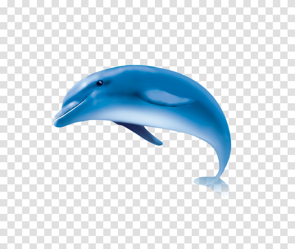 Hd Dolphin Hd Dolphin Images, Mammal, Sea Life, Animal, Fungus Transparent Png