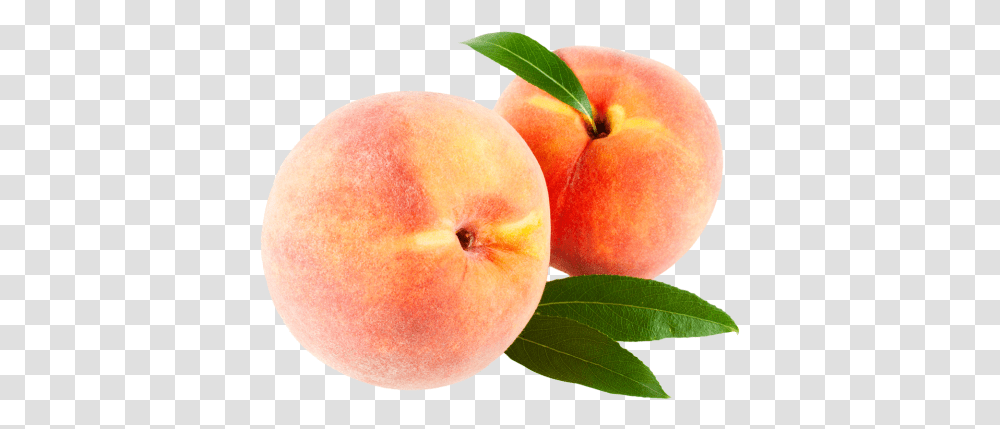 Hd Download Peach With Leaves Image Peach, Apple, Fruit, Plant, Food Transparent Png
