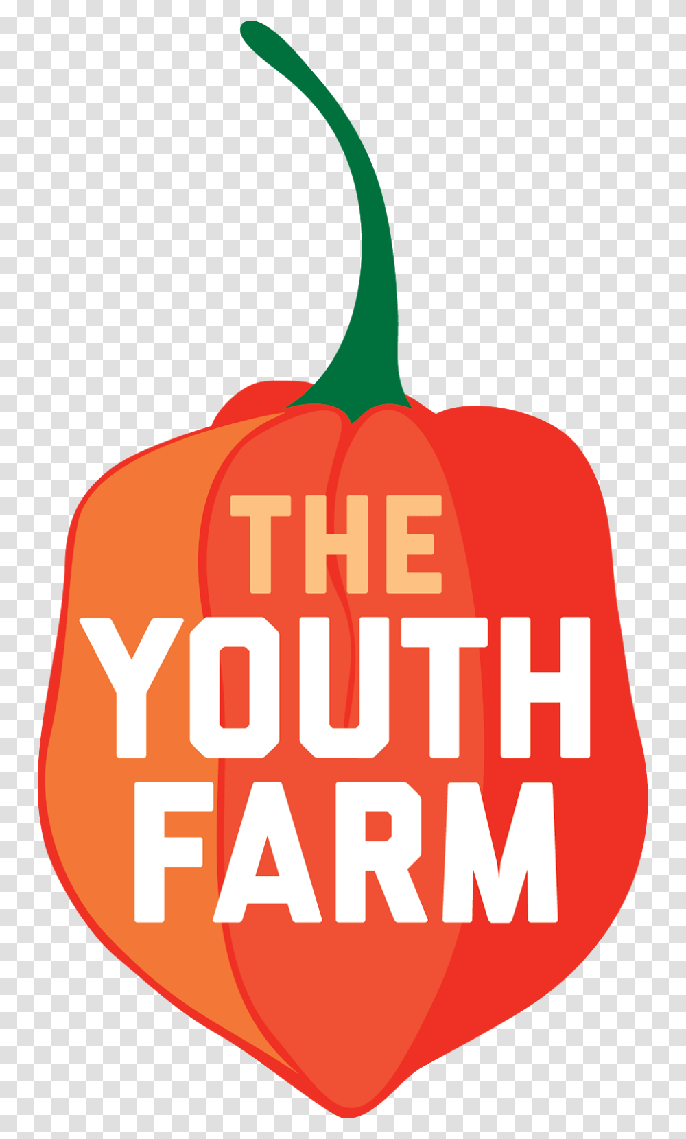 Hd Farm Ticket Clip, Plant, Pumpkin, Vegetable, Food Transparent Png