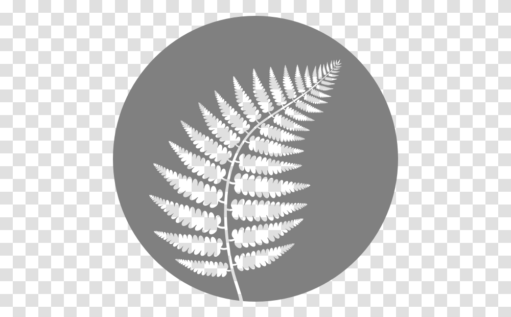Hd Ferns Image Vertical, Plant, Pattern Transparent Png