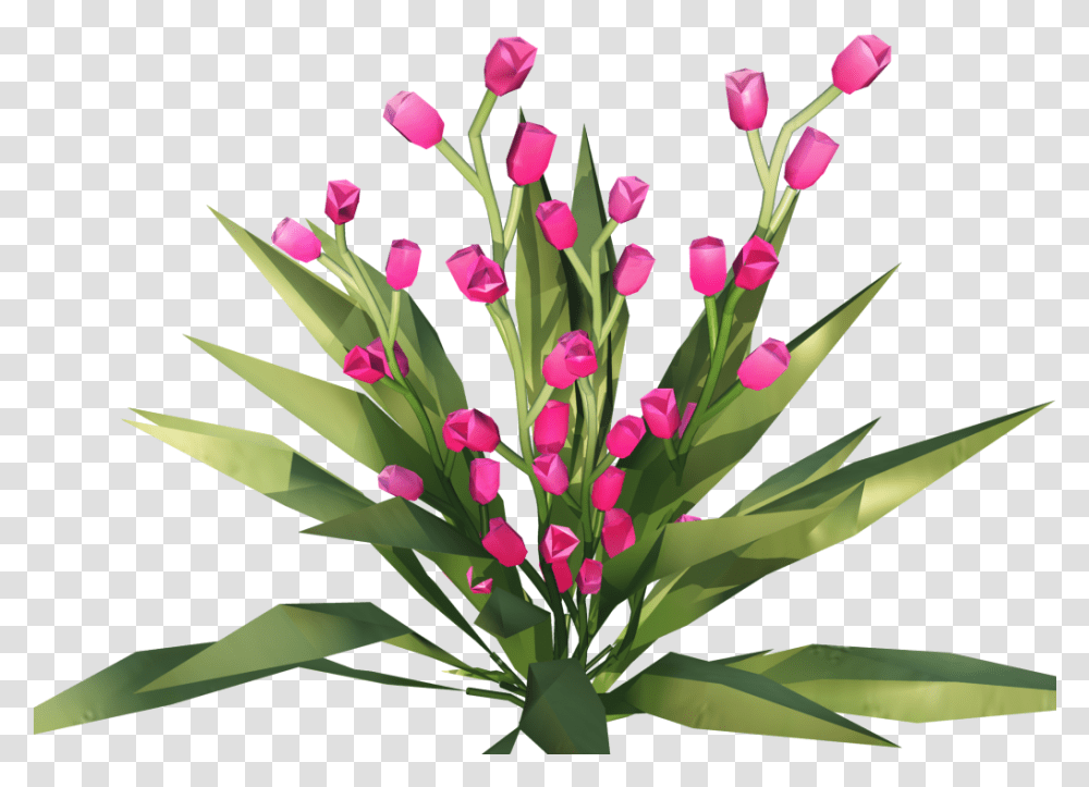 Hd File Flower Image File, Plant, Blossom, Leaf, Graphics Transparent Png