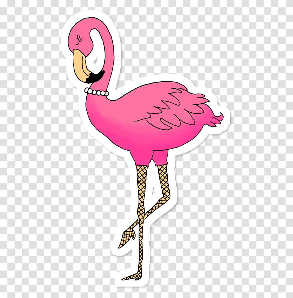 Hd Flamingo Sticker Flamingo Stickers, Animal, Bird Transparent Png