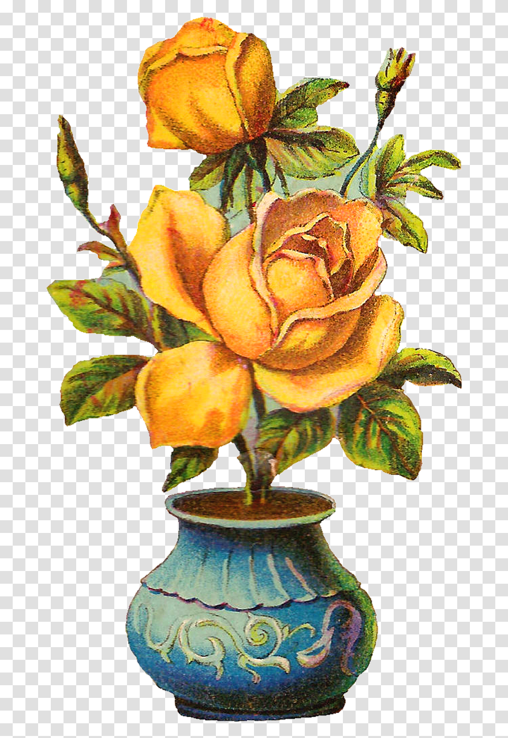 Hd Flowers Pot, Plant, Rose, Blossom, Fungus Transparent Png