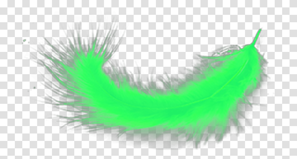 Hd Ftestickers Green Limegreen Grass, Apparel, Scarf, Feather Boa Transparent Png