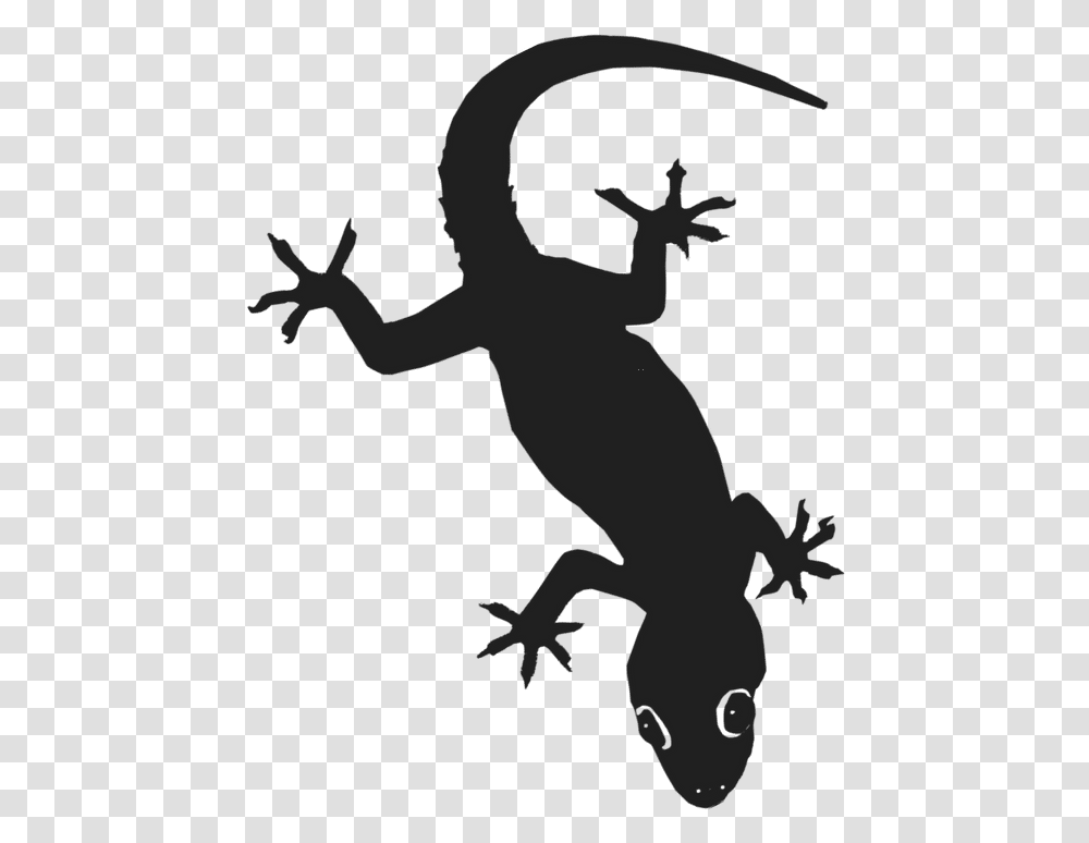 Hd Gecko Image Silhouette, Lizard, Reptile, Animal, Person Transparent Png