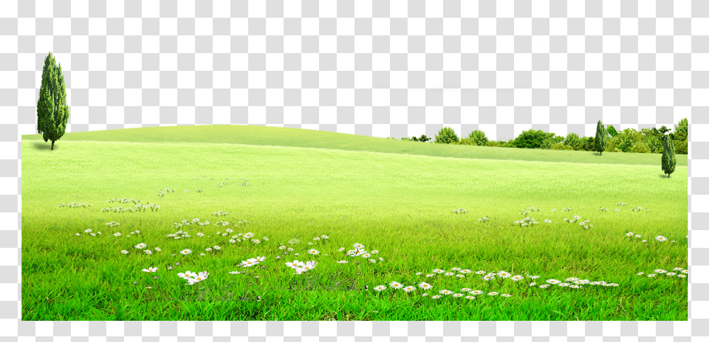 Hd Graphic Stock Land Grassland For Free Download On Green Land Background, Plant, Field, Outdoors, Nature Transparent Png
