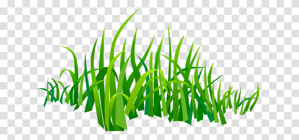 Hd, Grass, Plant, Lawn, Vegetation Transparent Png