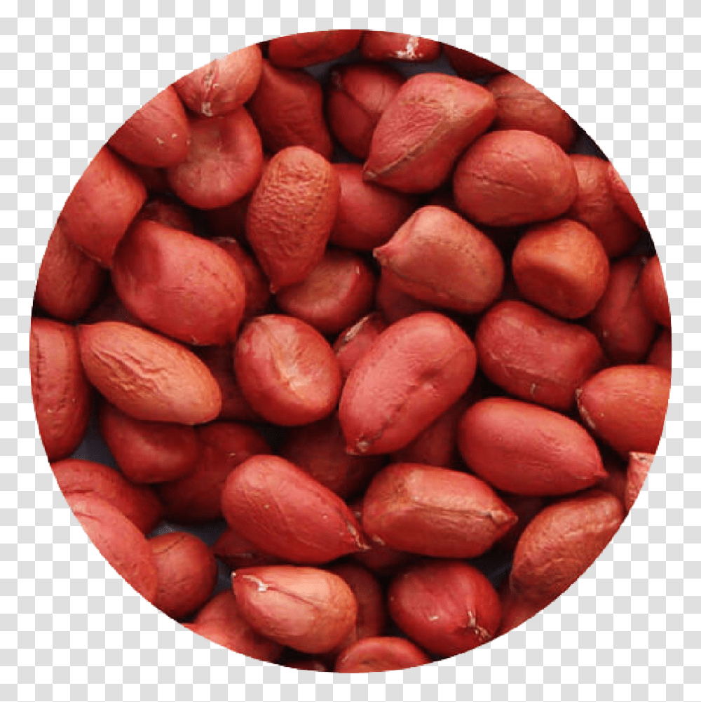 Hd Groundnuts, Plant, Vegetable, Food, Bean Transparent Png