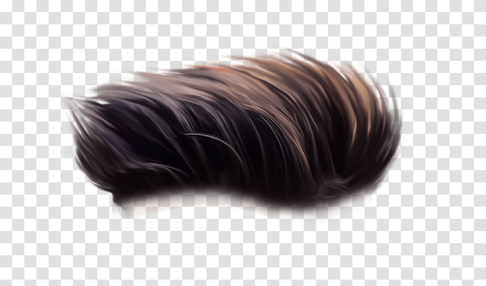 Hd Hair Brown, Mammal, Animal, Pet, Person Transparent Png