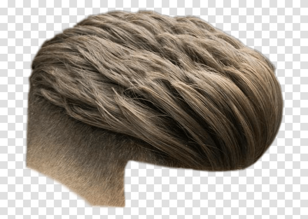 Hd Hair Cb Hair Picsart Image Free Download Boy Indian New Hairstyle, Person, Human, Fur, Pillow Transparent Png