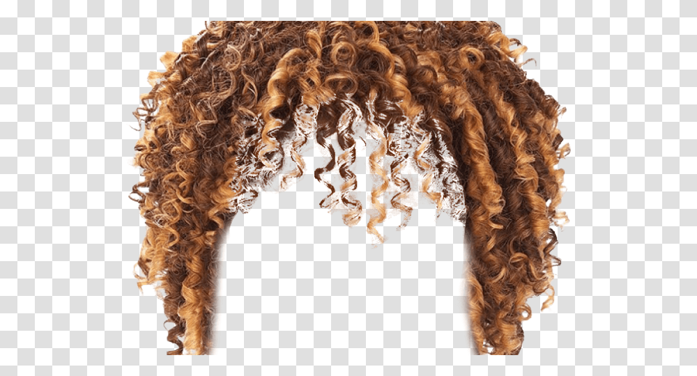 Hd Images Curly Long Hair Man, Wig, Fur Transparent Png