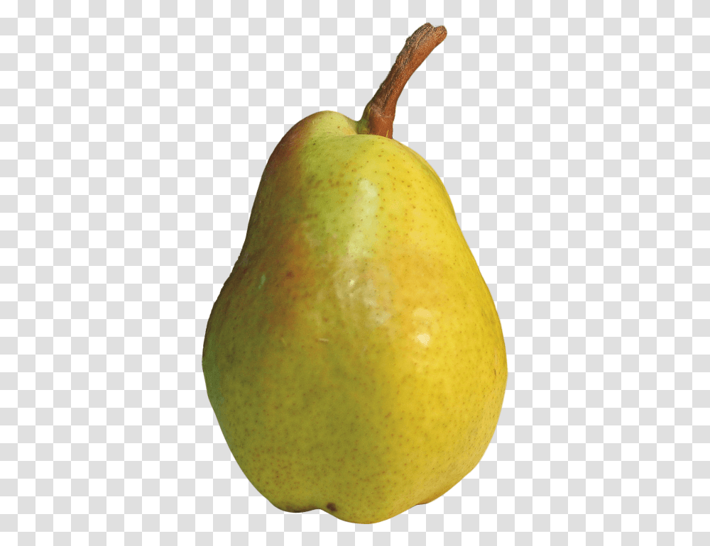 Hd Images Pluspng Pear, Plant, Fruit, Food Transparent Png