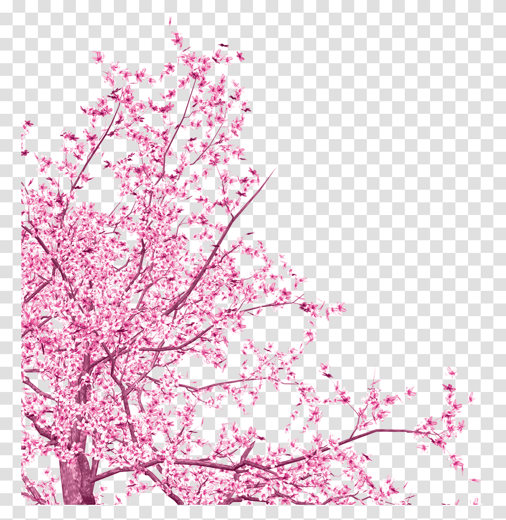 Hd Japanese Love Sakura, Plant, Cherry Blossom, Flower Transparent Png