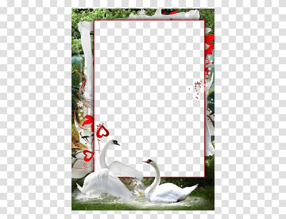 Hd Love Frames For Photoshop, Bird, Animal, Floral Design, Pattern Transparent Png