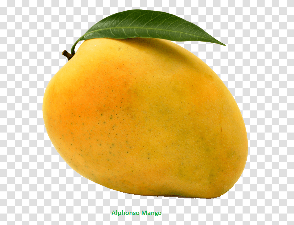 Hd Mango Clipart Mango, Plant, Fruit, Food Transparent Png