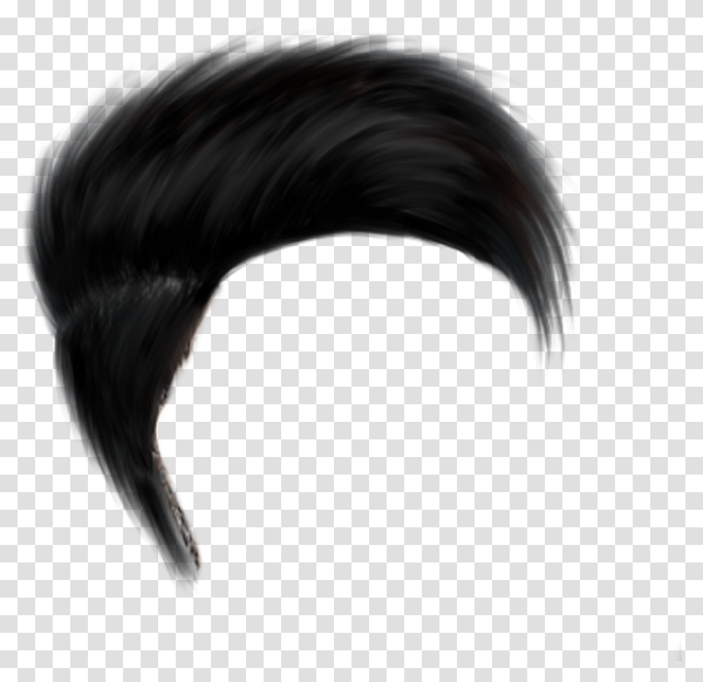 Hd Mens For Whatsapp Hair Style New, Nature, Horse, Mammal, Animal Transparent Png